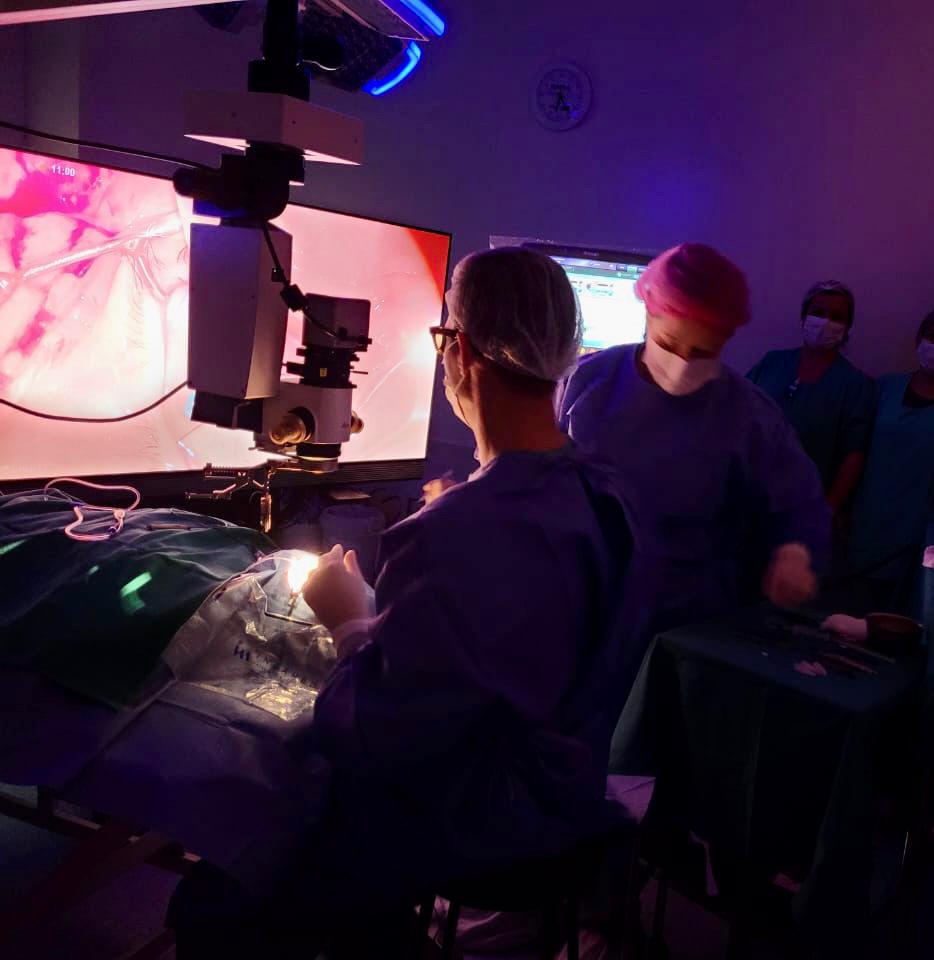  Tecnologia 3D inova as cirurgias oftalmol?gicas no Santa Terezinha 