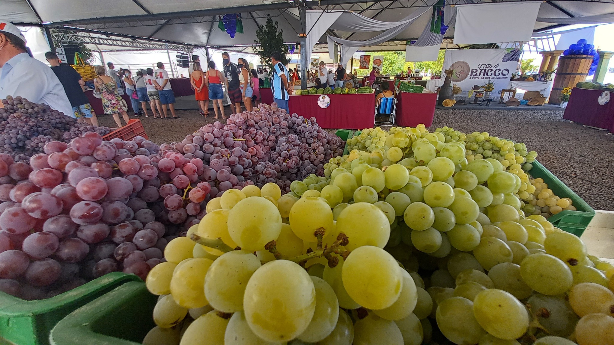  ?ltimo fim de semana da Festa Di Bacco 2022