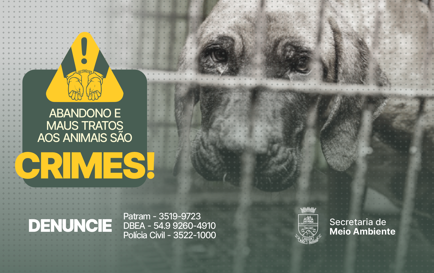  DENUNCIE - Prefeitura alerta que abandono e maus tratos de animais s?o crimes sujeitos  ? pris?o