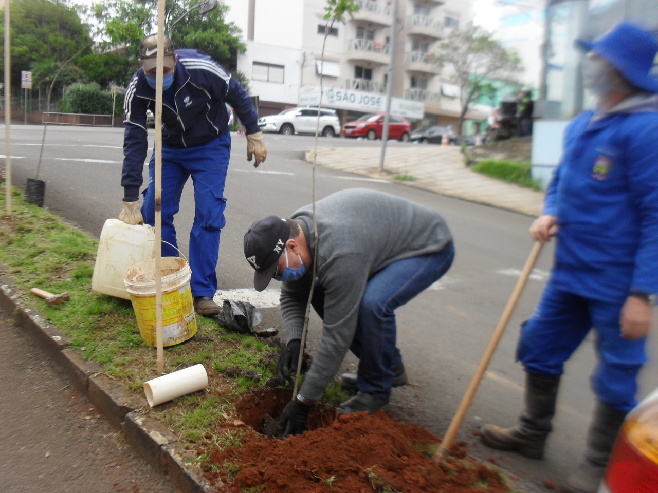  Secretaria de Meio Ambiente realiza revitaliza??o em canteiros  