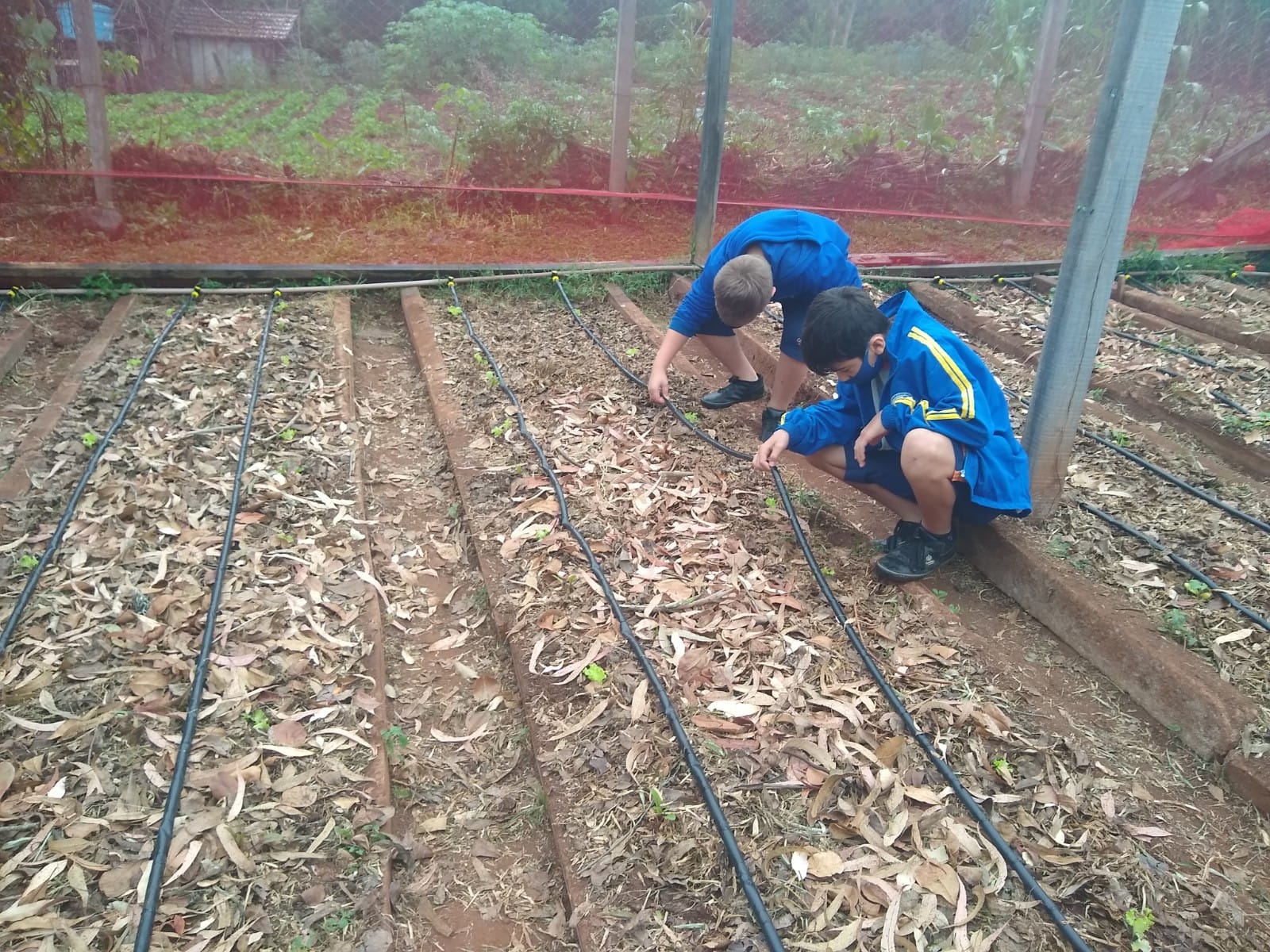  Projeto de capta??o de ?gua da chuva e irriga??o da horta escolar envolve a Comunidade Escolar da EMEF Jaguaret?