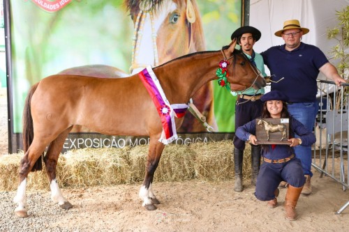 Campões da Mostra Morfológica do Cavalo Crioulo (5) - Copia