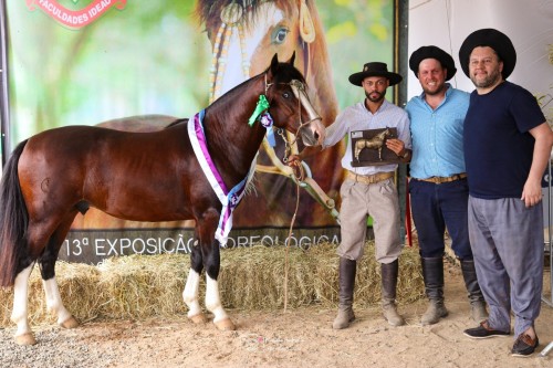 Campões da Mostra Morfológica do Cavalo Crioulo (4) - Copia