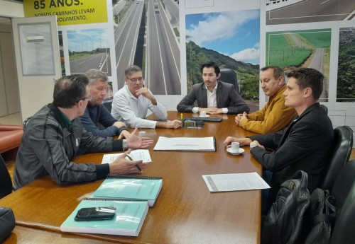 Ponte do Rio Tigre e trevos de acesso na pauta de audi?ncia em Porto Alegre