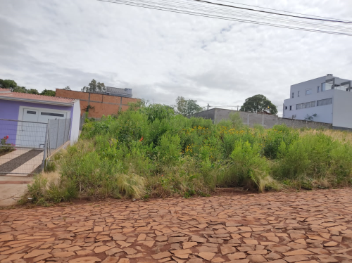 Secretaria de Meio Ambiente alerta população sobre limpeza de terrenos