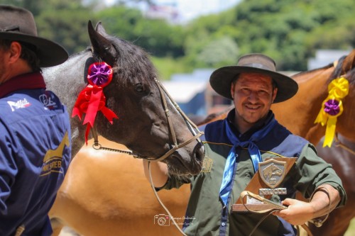 Campões da Mostra Morfológica do Cavalo Crioulo (9)