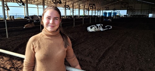 filha trabalha na fazenda de leite