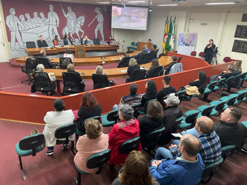 Democracia e Direito a Cultura em debate na Confer?ncia Municipal de Cultura