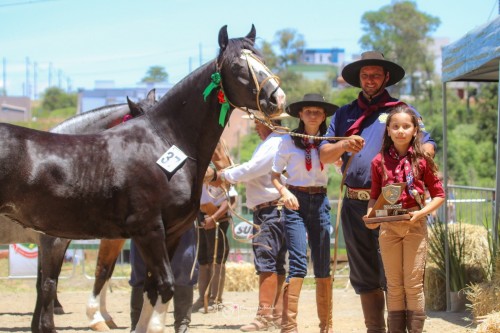 Campões da Mostra Morfológica do Cavalo Crioulo (8) - Copia